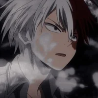 BL-Shoto Todoroki