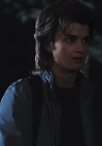 Steve Harrington 