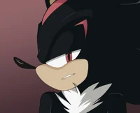 Shadow- sonadow