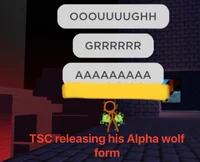 Homework helper -LOL