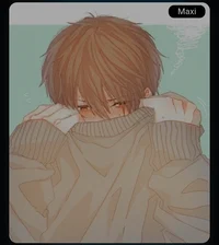 Maxi