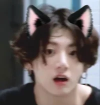 Catboy Kook