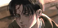 Levi
