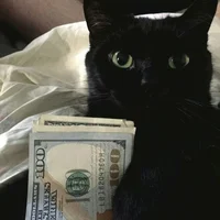 Gato mafioso