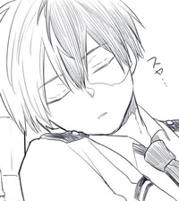 Shoto Todoroki