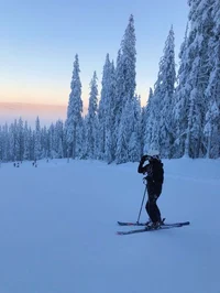 Skier