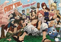 Fairy tail guild 
