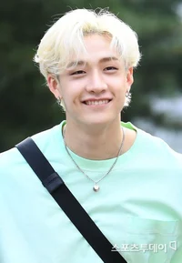 Bang Chan 