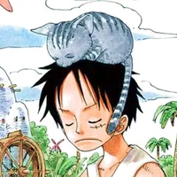 Monkey D luffy