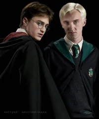 Draco y Harry 