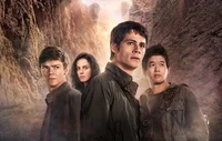 The maze runner