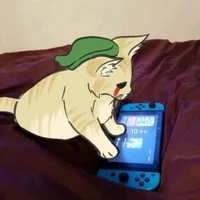 BEN drowned