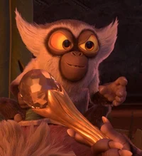 Serugei the Capuchin