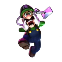 Luigi_Ghost_Hunter