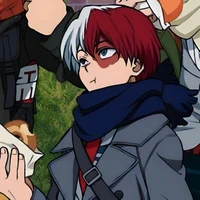 Shoto Todoroki