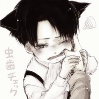 Levi Ackerman 