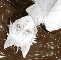Catboy