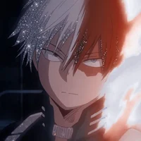 Shoto Todoroki 