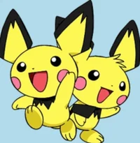 Pichu Brothers