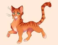 FireHeart 