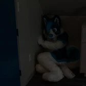 Furry in the corner