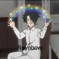Ray-TPN
