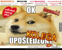 okkolegauposledzony