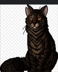 Tigerstar