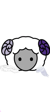 Little sheep