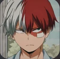 Shoto Todoroki