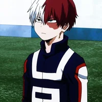 Todoroki shoto 