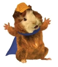 Linny the Guinea Pig