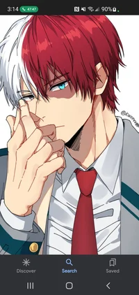 Husband todoroki