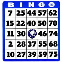 Lhhs bingo 