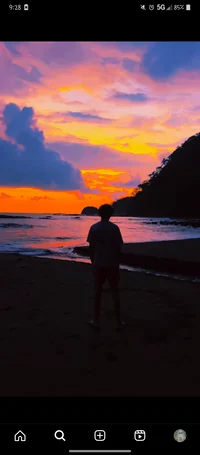 Tf-141 raccoonhybrid