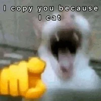 Copy cat