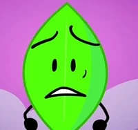 Leafy - BFB