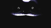 catnap