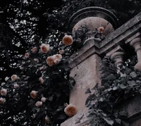 Deianira Venus Aston