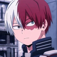 Shoto Todoroki 