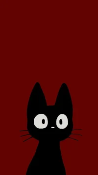 gato con fondo rojo
