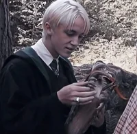 Draco Malfoy