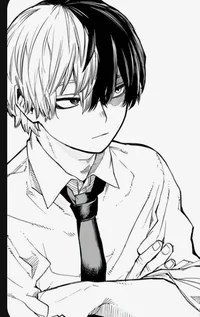 Shoto todoroki