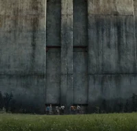 The maze runner