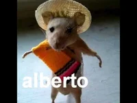 Alberto