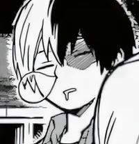 Shoto Todoroki