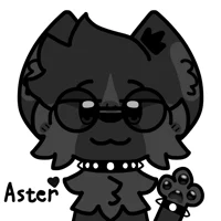 Aster