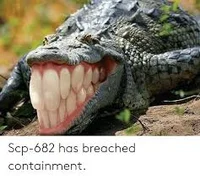 Scp 682