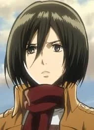 Mikasa