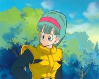 Bulma Briefs